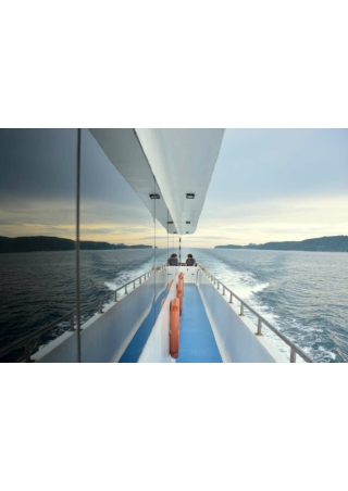 Best shower filter for hair