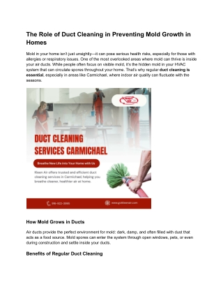 The Role of Duct Cleaning in Preventing Mold Growth in Homes