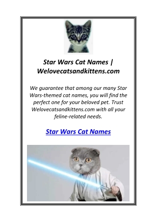 Star Wars Cat Names | Welovecatsandkittens.com