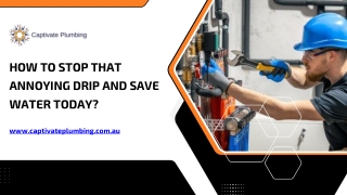 How to Stop That Annoying Drip and Save Water Today?