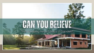 Can You Believe This Amazing Resort Exists in Dandeli?