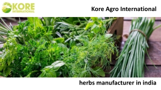 herbs manufacturer in india