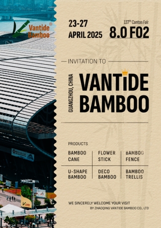 Canton Fair Invitation - Vantide Bamboo 8.0 F02