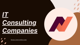 It Consulting Companies | Netvorker