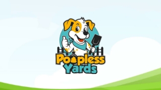 Keep Your Lawn Clean Through Pet Waste Removal In Aurora CO