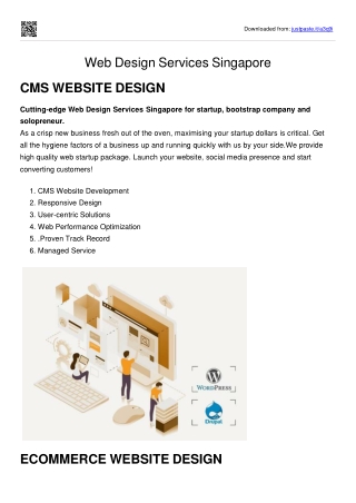 Web Design Services Singapore  - PDF
