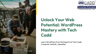 Best Word Press Course In Jalandhar