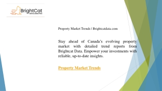 Property Market Trends Brightcatdata.com