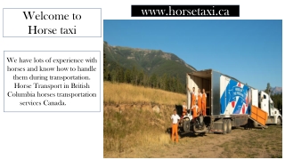 Horses Transportation Services Canada