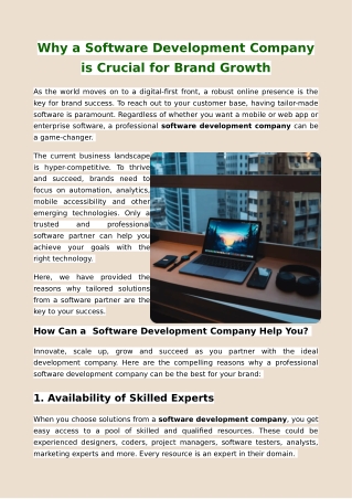 Why a Software Development Company is Crucial for Brand Growth