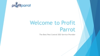 Get The Best Pest Control SEO Services Near You