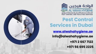 Pest Control in Dubai