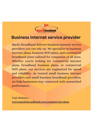 Business Internet service provider