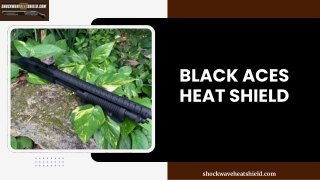 Black aces heat shield