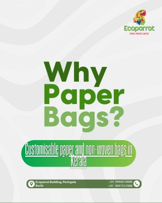 paper carry bag manufacturer in kerala