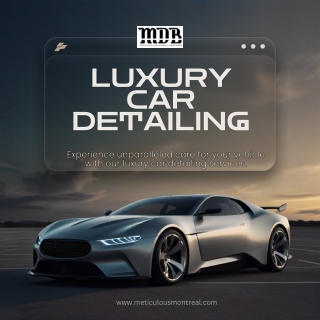meticulous pdf Luxury Car Detailing