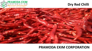 Premium Quality Dry red chilli