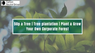 50p a Tree  Tree plantation  Plant & Grow Your Own Corporate Forest