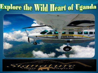 Explore the Wild Heart of Uganda