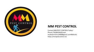 cockroach management by MM pest control