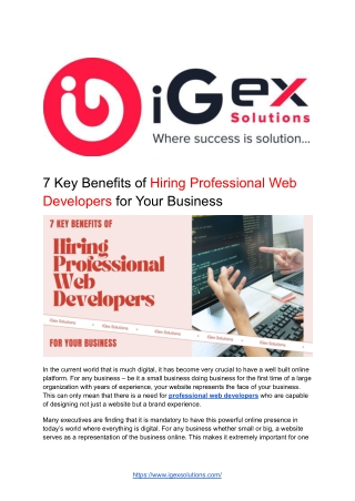 7 Key Benefits of Hiring Professional Web Developers for Your Business