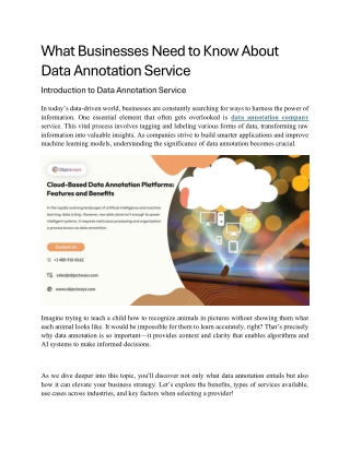 What Businesses Need to Know About Data Annotation Service