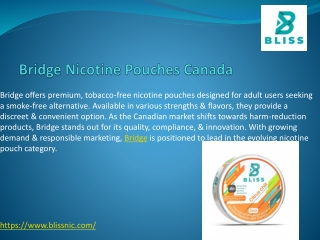 Bridge Nicotine Pouches Canada