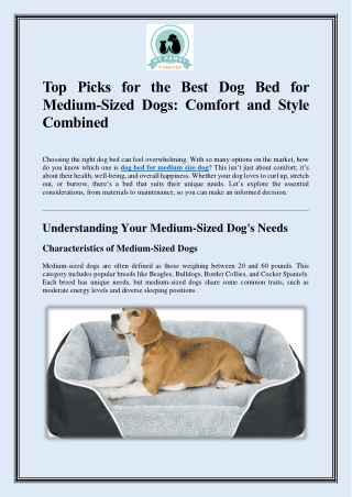 Top Picks for the Best Dog Bed for Medium-Sized Dogs Comfort and Style Combined