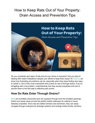 How to Keep Rats Out of Your Property: Drain Access and Prevention Tips