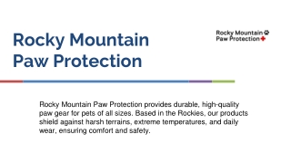 Dog Winter Boots Waterproof