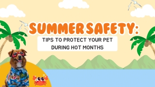 Summer Safety: Tips to Protect Your Pet During Hot Months