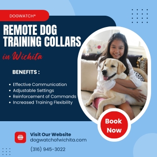 Remote Dog Training Collars in Wichita  Dog Watch Wichita