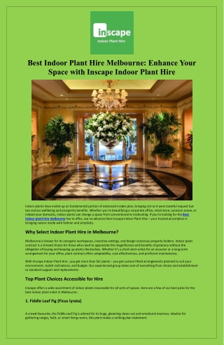Best Indoor Plant Hire Melbourne Enhance Your Space with Inscape Indoor Plant Hire
