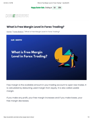 What is Free Margin Level in Forex Trading PDF