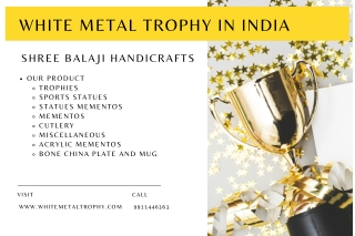 white metal trophy in india - Shree Balaji Handicrafts