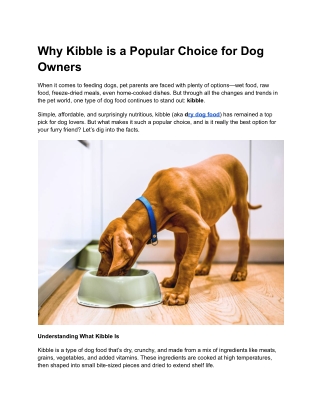 Why Kibble is a Popular Choice for Dog Owners