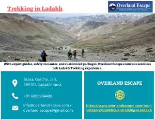 Trekking in Ladakh