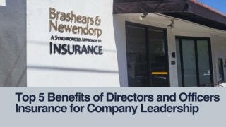 Top 5 Benefits of Directors and Officers Insurance for Company Leadership