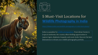 5-Must-Visit-Locations-for-Wildlife-Photography-in-India..