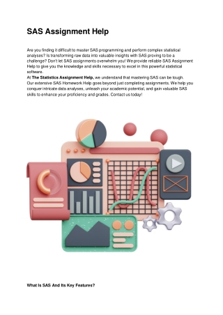 SAS Assignment Help