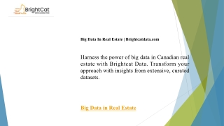 Big Data In Real Estate  Brightcatdata.com