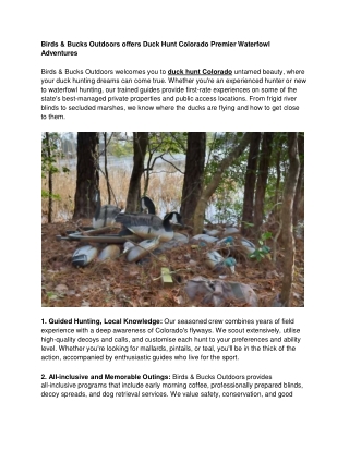 Birds & Bucks Outdoors offers Duck Hunt Colorado Premier Waterfowl Adventures