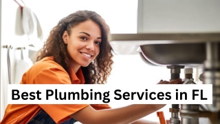 Best Plumbing Services in FL