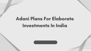 Adani Plans For Elaborate Investments In India