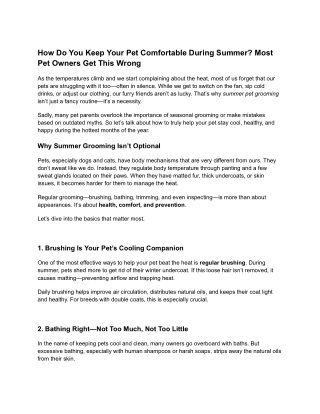 How Do You Keep Your Pet Comfortable During Summer