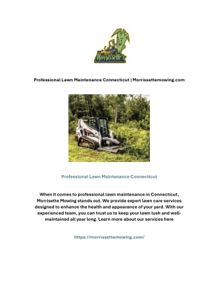 Professional Lawn Maintenance Connecticut | Morrissettemowing.com