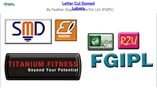 Letter Cut Domed Labels