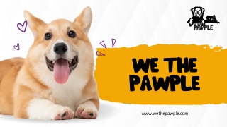 WE THE PAWPLE 22425
