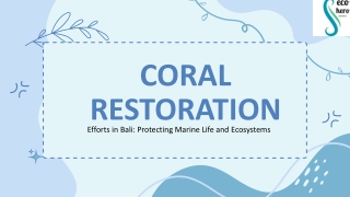 Coral Restoration Efforts in Bali Protecting Marine Life and Ecosystems