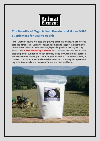 The Benefits of Organic Kelp Powder and Horse MSM Supplement for Equine Health